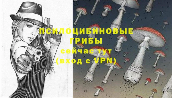 эйфоретик Аркадак