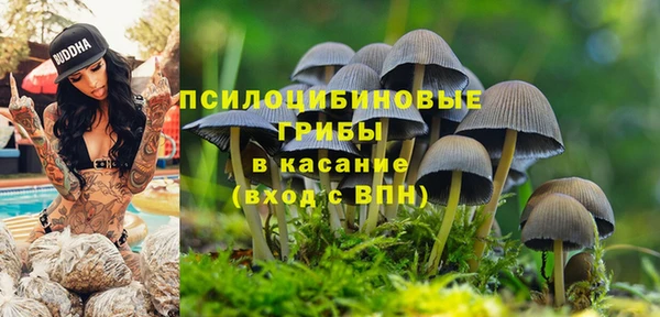 стаф Армянск