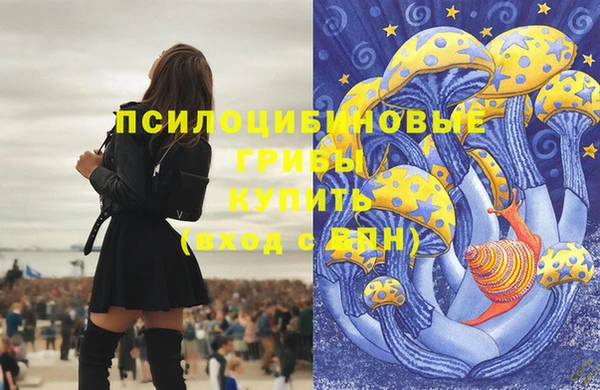 эйфоретик Аркадак