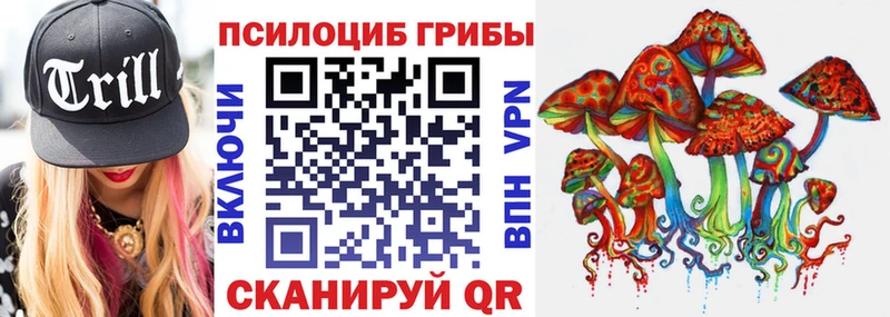 kraken маркетплейс  Ветлуга  Псилоцибиновые грибы мицелий 