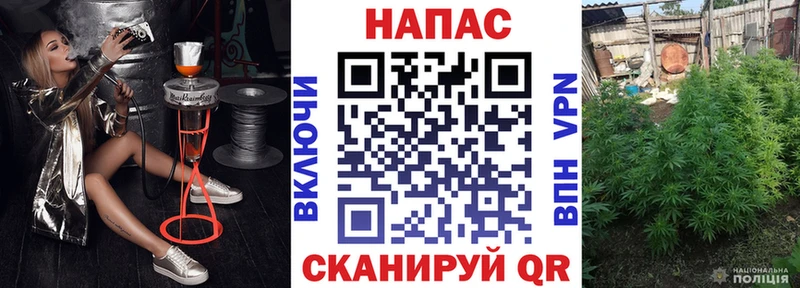 Канабис THC 21%  купить  сайты  Ветлуга 